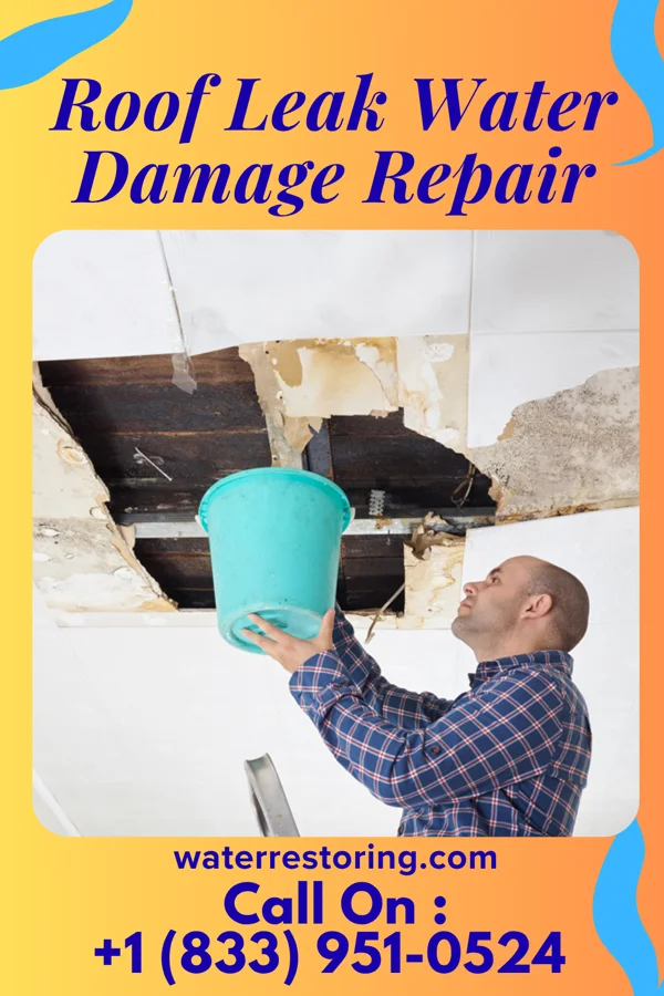 Roof Leak Water Damage Repair in Viola, TN